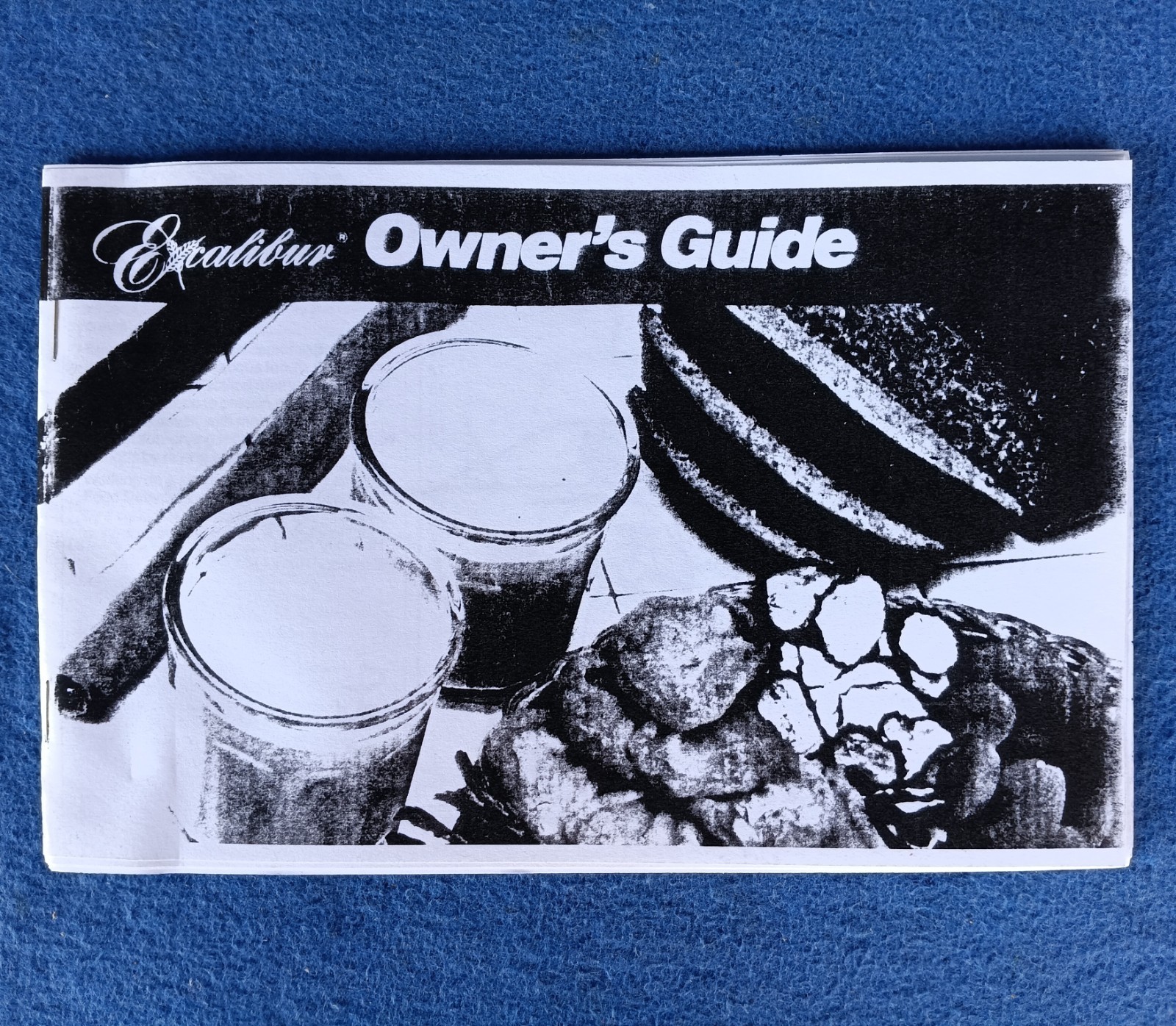 Excalibur Food Dehydrator Owner's Guide Instructions & Recipe Book Manual ~ Copy gallery