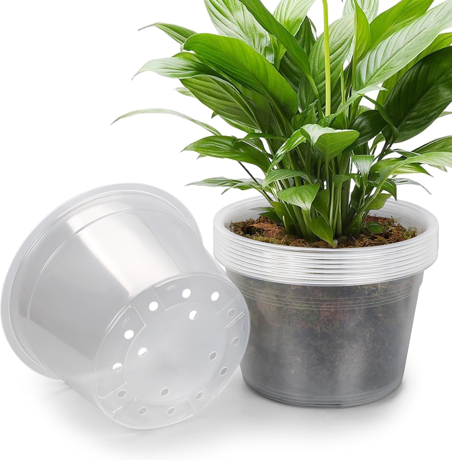 10 Pack 8 Inch Large Clear Nursery Pots with Drainage Hole, Plastic Plant Pots f gallery