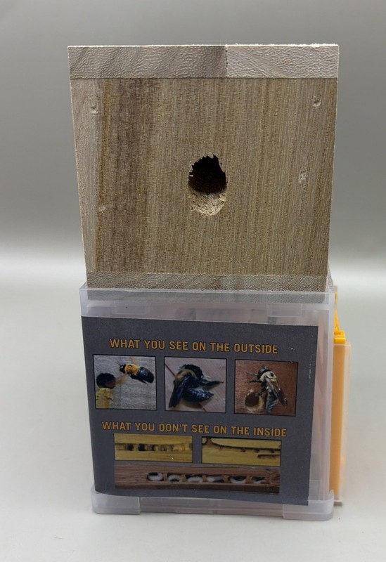 Bees 'N Things Outdoor Carpenter Bee Traps, NEW gallery