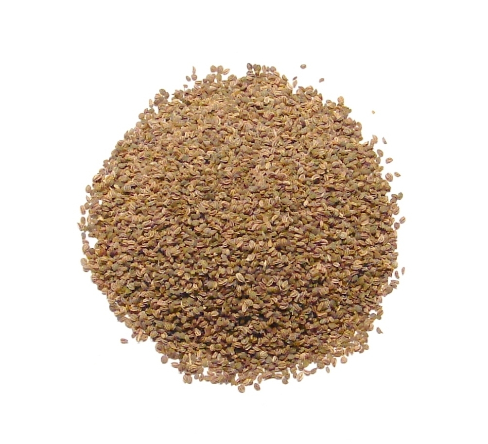 Celery Seeds, Whole - 3 Pounds - Bulk Celery Spice Essential Grilling Seasoning gallery