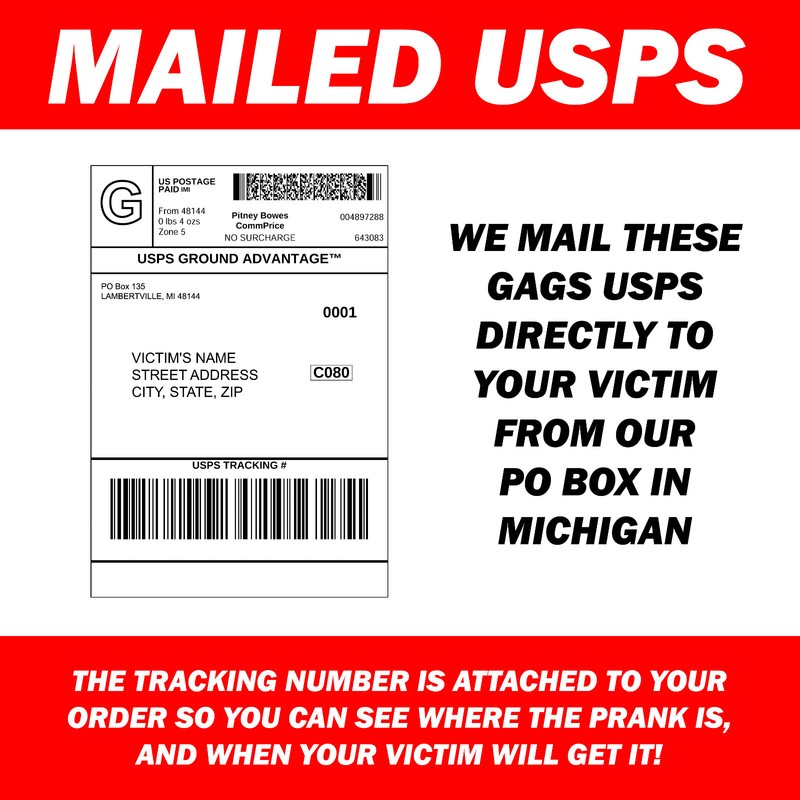 Prank Alien Abduction Kit Joke Mail Sent to your Friends for Sheer Enjoyment! gallery