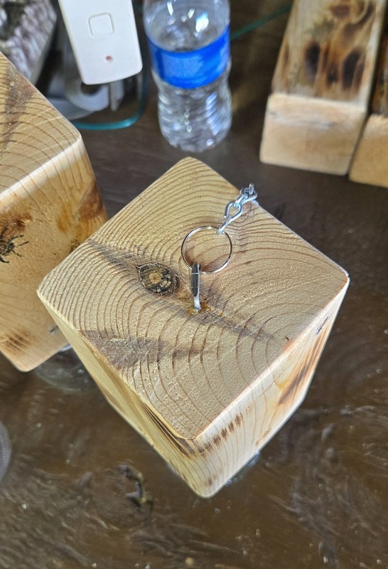CARPENTER 'BORE' BEE TRAPS THAT WORK! gallery