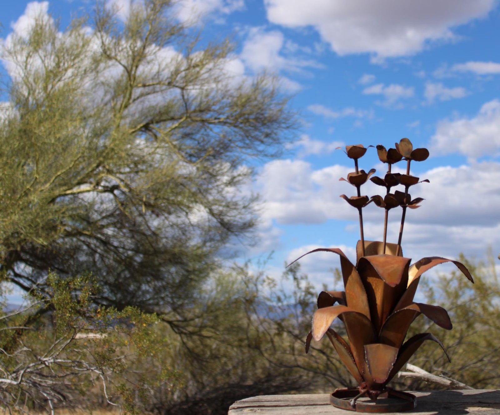 Handcrafted 15-17” Tall Metal Agave Blooming Cactus Yard Art gallery