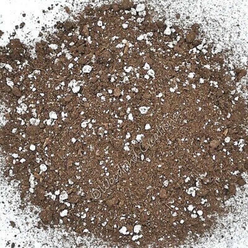 Pro-Mix HP Potting Mix Seed Germination Soilless Growing Media Mycorrhizae FAST gallery