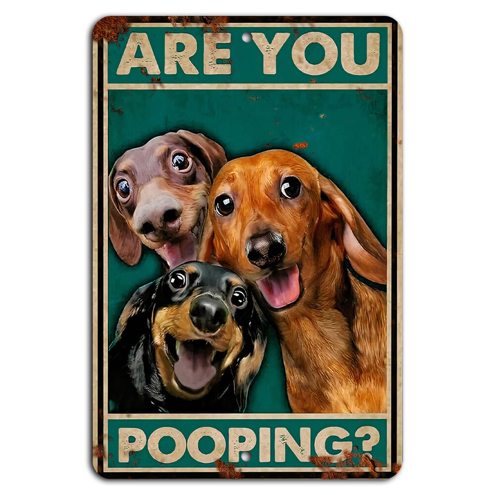 Funny Metal Sign BanginPrints Rustic Bathroom Decor Aluminum 8x12 gallery