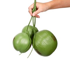 Fake Coconut 1 Bunch Artificial Coconuts for Decoration Lifelike Tropical Fak…