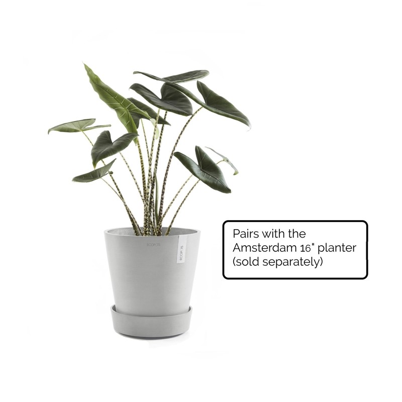 Ecopots Plastic Planter Saucer with Wheels, White Grey, 16" gallery