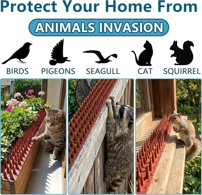 12 Pack Clear Transparent PVC Bird Spikes Deterrent Strips for Outside to Kee... gallery