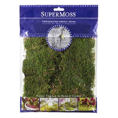 Supermoss Preserved Sheet Moss - 2 oz GO 16344 Fairy Garden Craft gallery