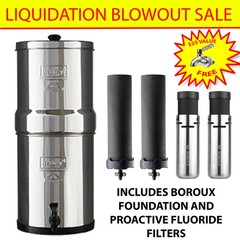 Berkey Water Filter System with Boroux Foundation Black and Fluoride Filters