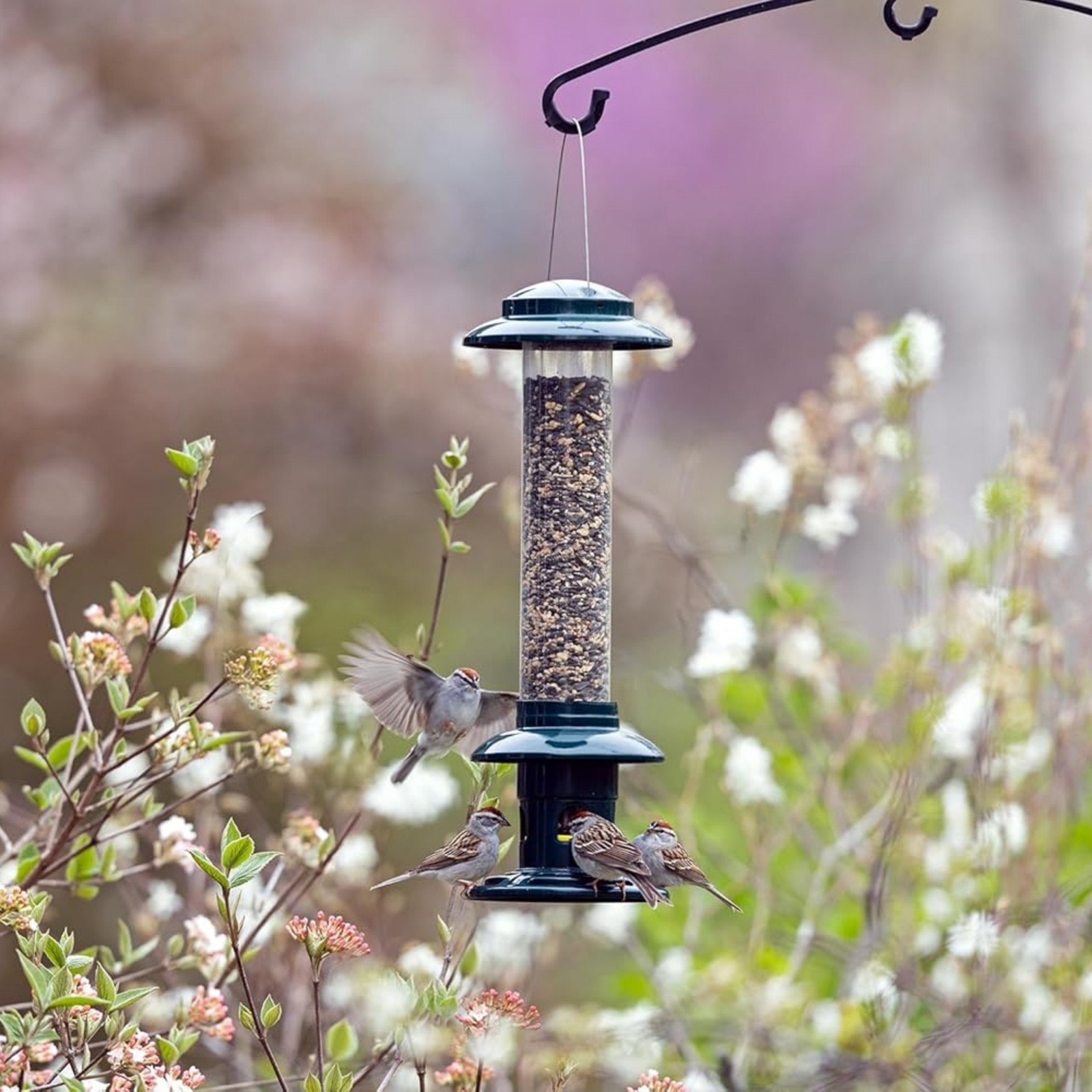 Brome Squirrel Buster Evolution Bird Feeder with Double Cardinal Ring gallery
