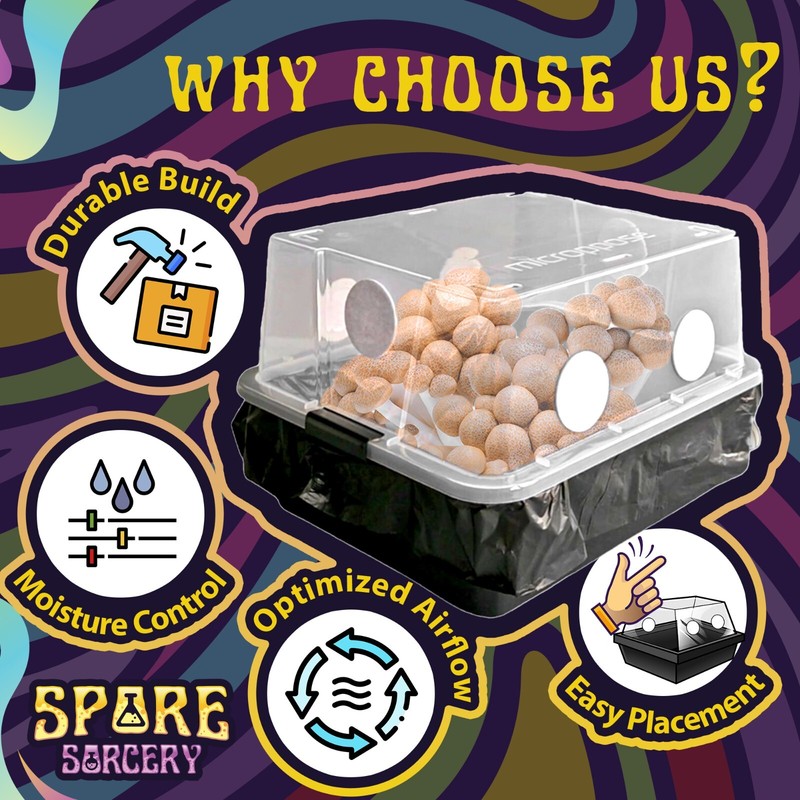 Medium Beginners Mushroom Grow Kit | Indoor Grow Kit w/ Bulk Substrate gallery