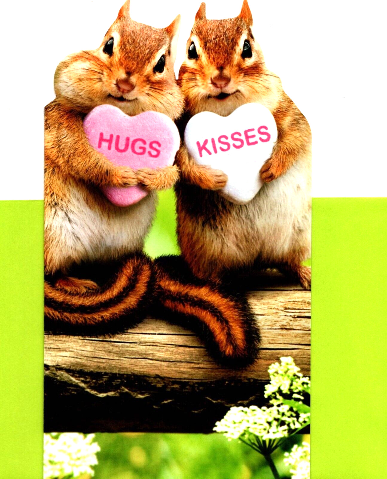 Happy Valentine's Day Chipmunk Chipmunks Hugs Kisses Heart Candy Greeting Card gallery