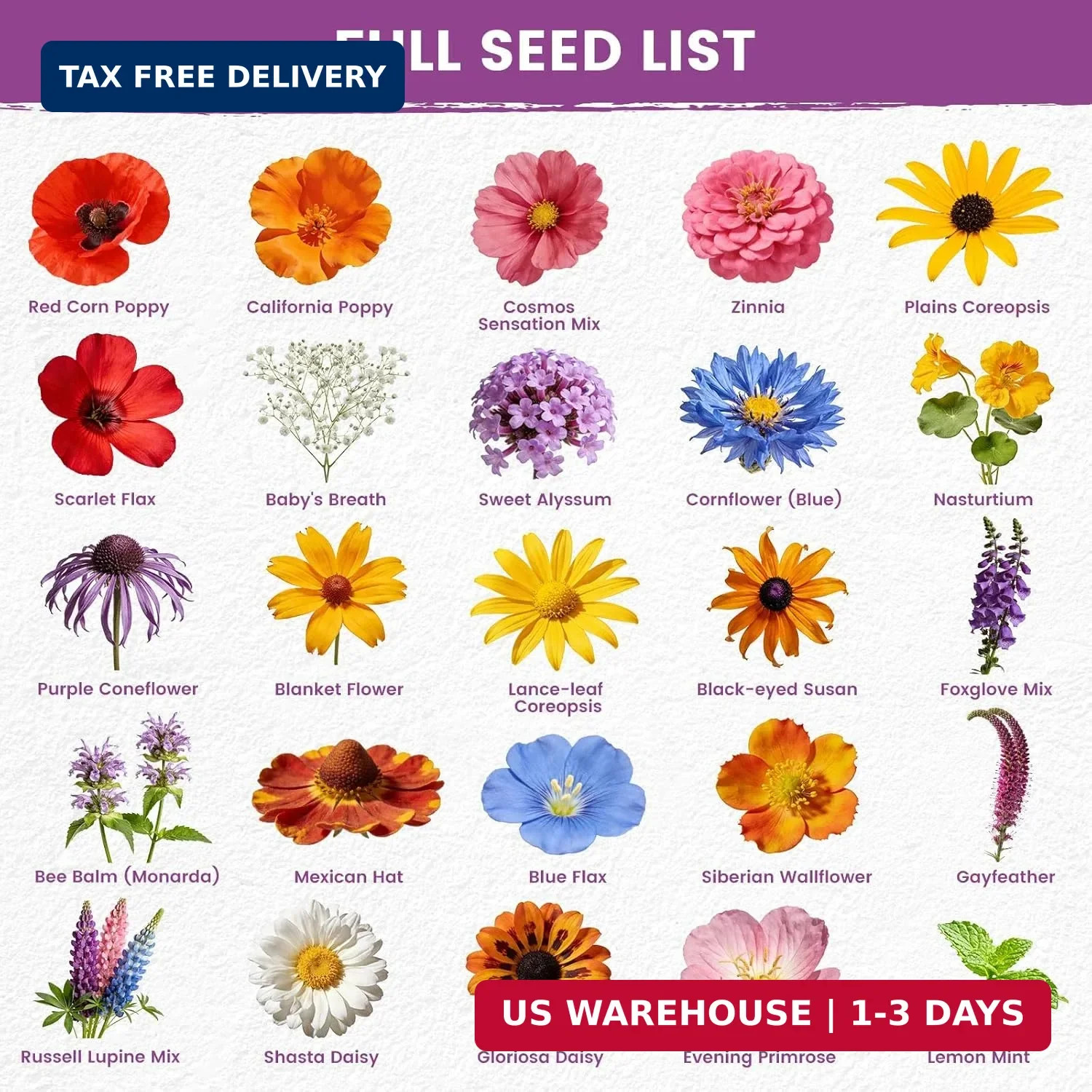 Wildflower Seeds Bulk Mix - 10,000+ Non-GMO Perennial & Annual Seeds - Texas, Ca gallery