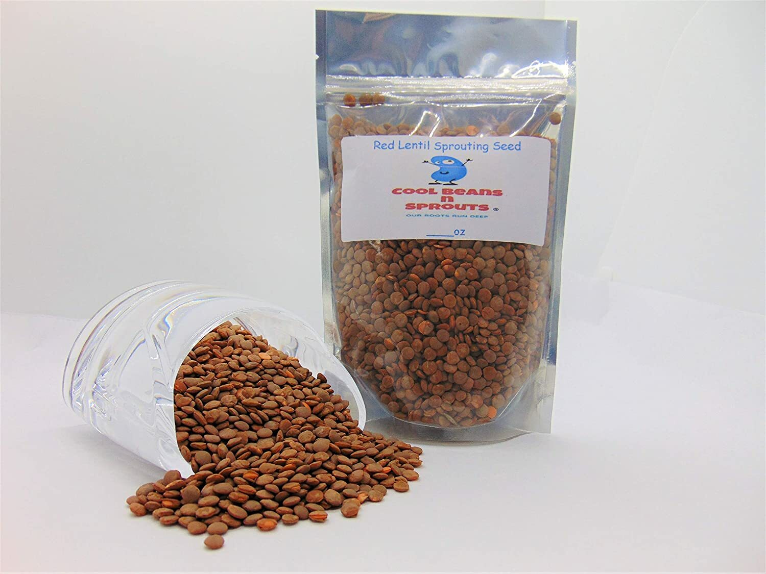 Red Lentil Seeds for Sprouting Microgreens, COOL BEANS N SPROUTS gallery