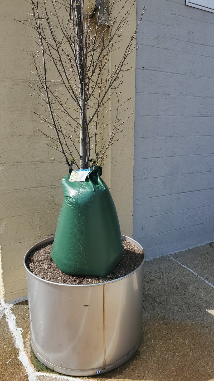 3 Pack - 20 Gallon Tree Watering Bag - Sapling Saver - Around The Home and Farm gallery