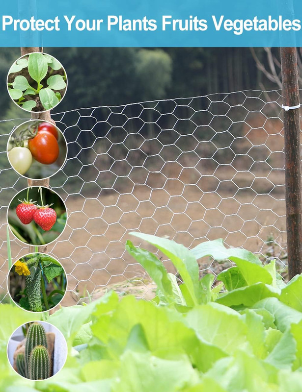 Chicken Wire Fence Galvanized Hexagonal Mesh Netting Garden Protective Craft 33f gallery