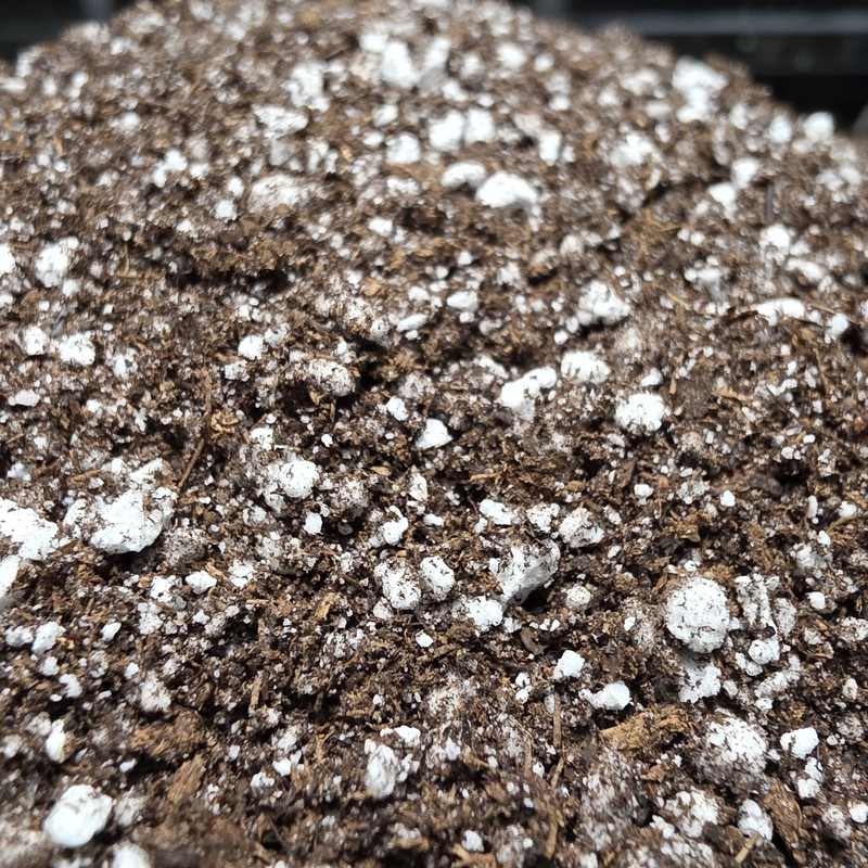 Carnivorous Plant Soil for Venus Flytrap，Sundew，Sarracenia【Guranteed Fresh Mix】 gallery
