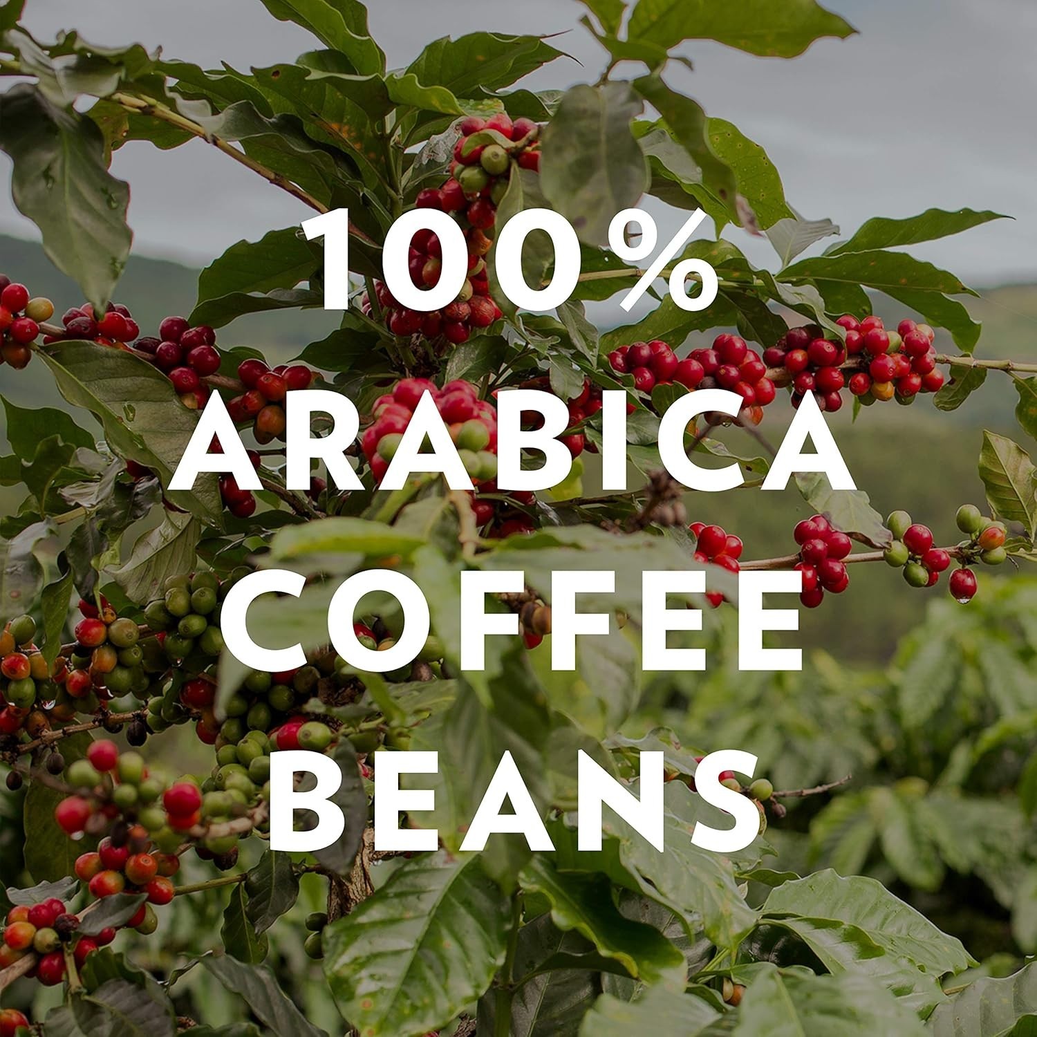 2 HUGE BAGS 32 OZ EACH, COMMUNITY COFFEE SIGNATURE BLEND DARK ROAST COFFEE gallery