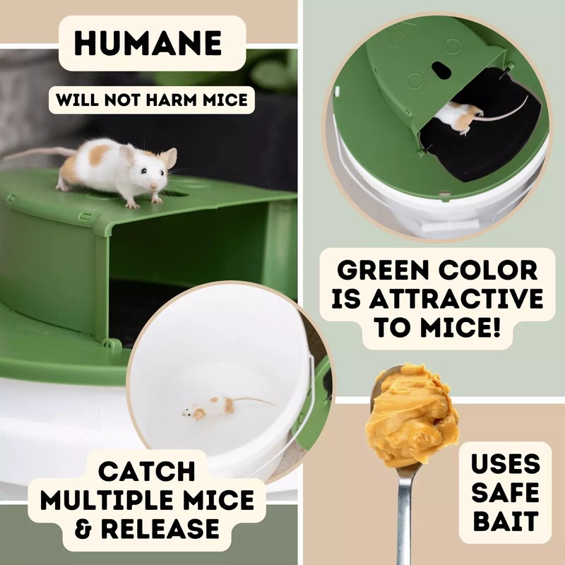 Humane Mouse Rat Trap, 3PACK Rats Trap Bucket Lid Catcher with Ramp Mousetraps gallery