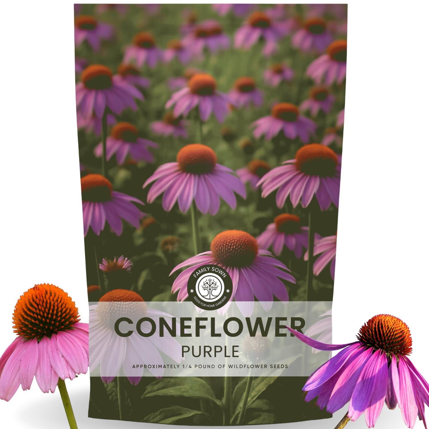 Purple Coneflower Seeds – 28,000 Count for Planting – 2026 Season – 4 Ounce gallery