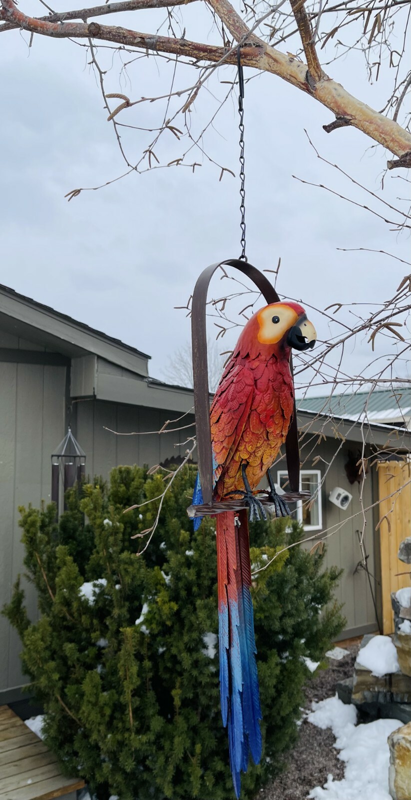 Hanging Whimsical Rustic Metal Swinging Macaw Parrot Tropical Bird On Chain Yard gallery