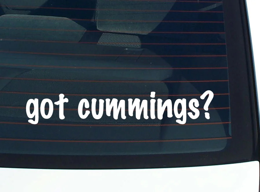 got cummings? FUNNY VINYL CAR DECAL STICKER FAMILY LAST NAME gallery