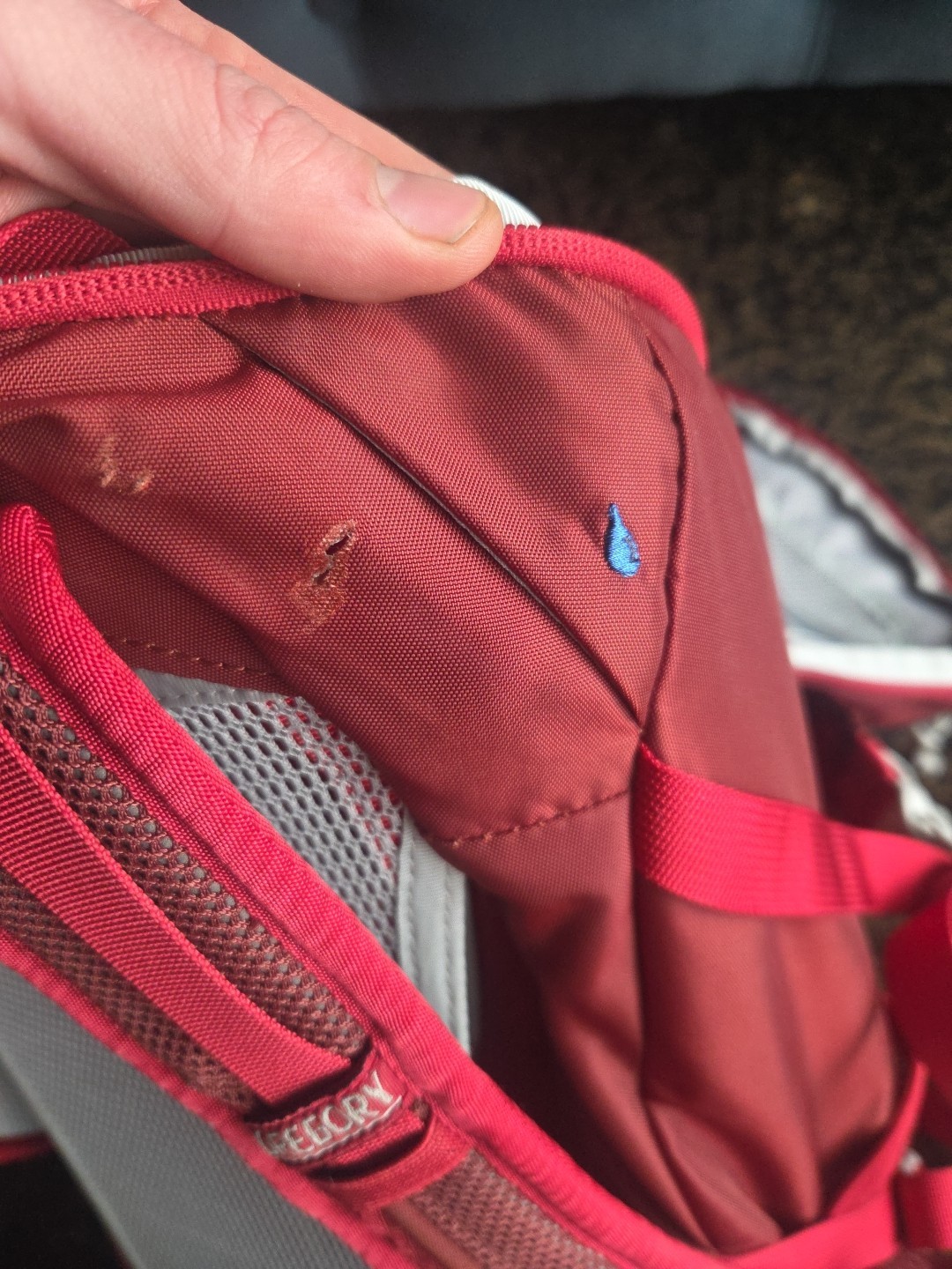 NEW Gregory Jade 28 Backpack - Women's Medium - Scarlet Red 4