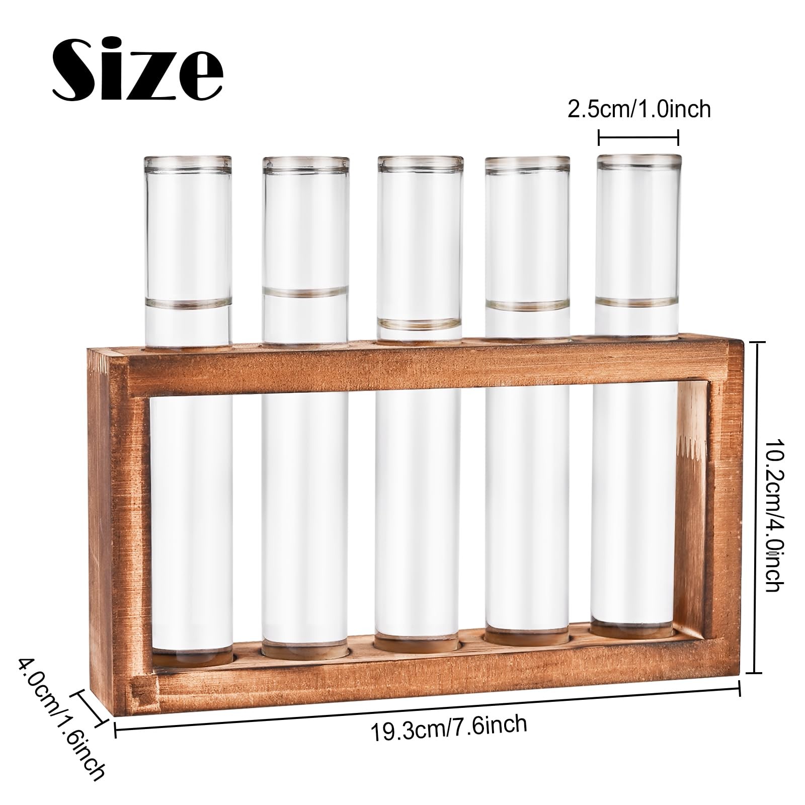 Desktop Glass Plant Propagation Station with 5 Test Tubes in Wooden Stand - H... gallery