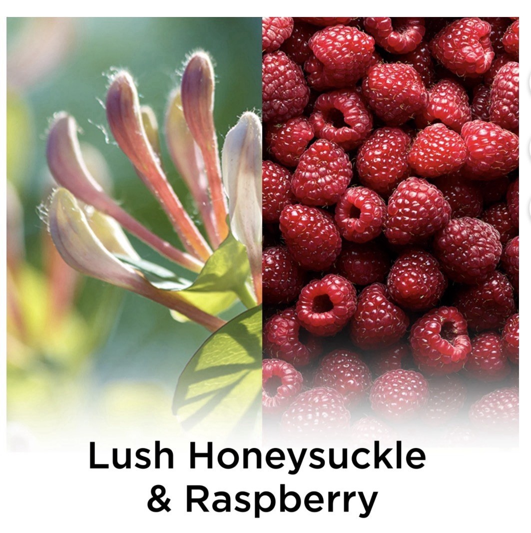 Air Wick Essential Mist Refill Lush Honeysuckle & Raspberry ( 3pc ) gallery