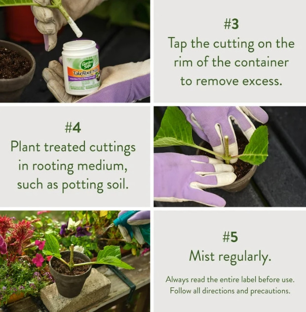 Garden Safe Take Root Rooting Hormone, 2-Ounce gallery