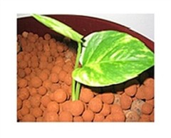 5 liters HYDROTON Expanded Clay Pebbles rocks Grow Media Hydroponic Aquaponic