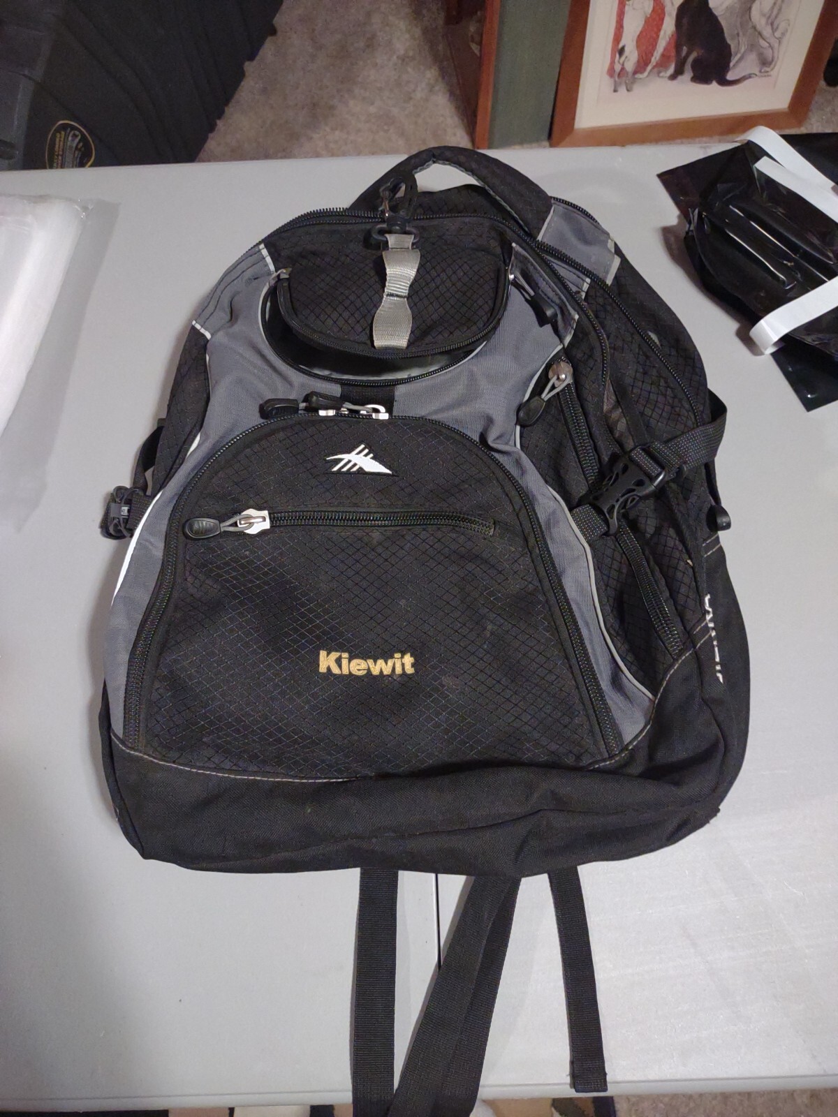 High Sierra Access 17” Backpack Black/Gray Multi-Organizer Computer Padded