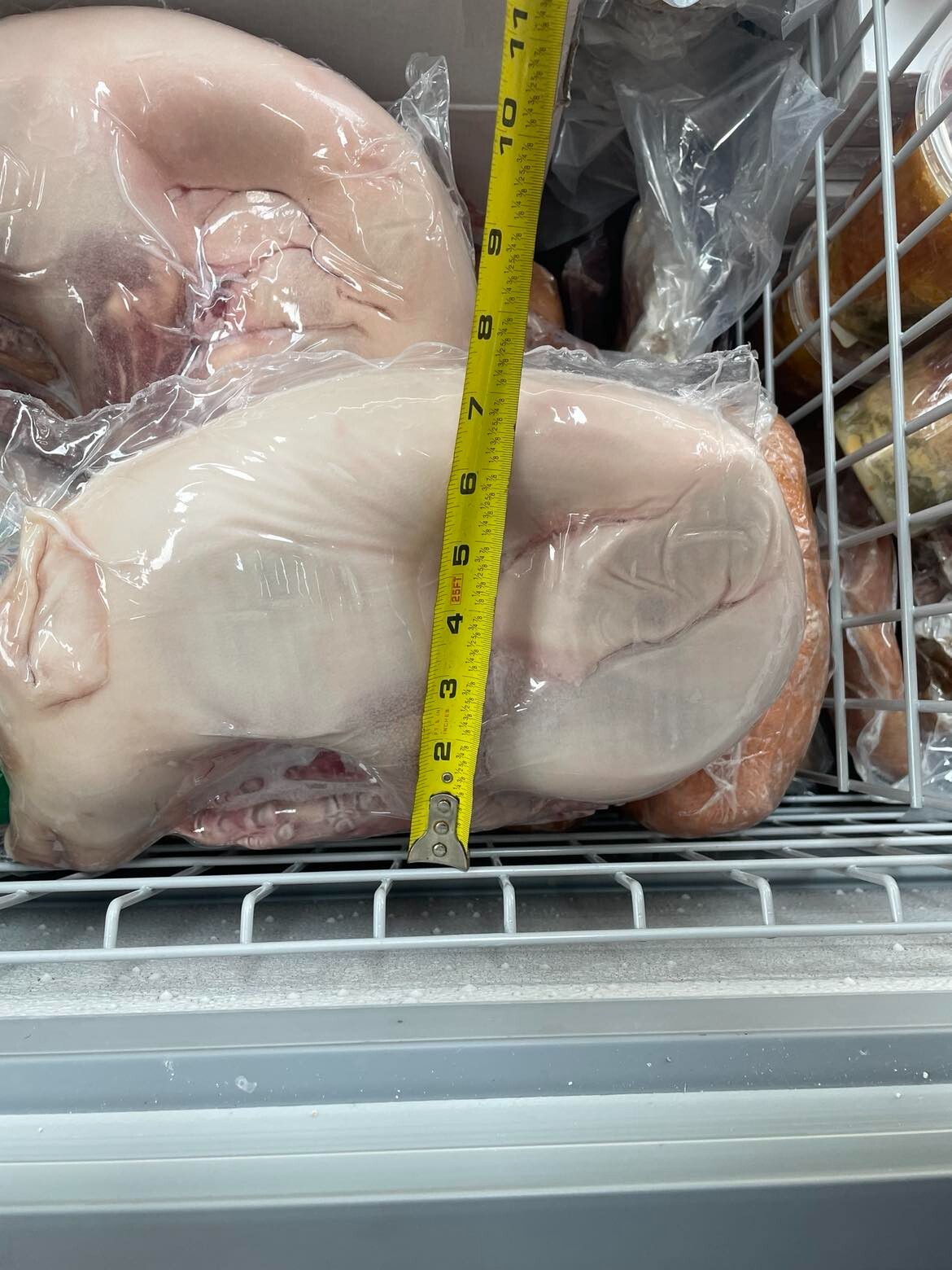 SUCKLING PIGLET ,USDA 100% Certified PRODUCT From Spain !! US SELLER !! gallery