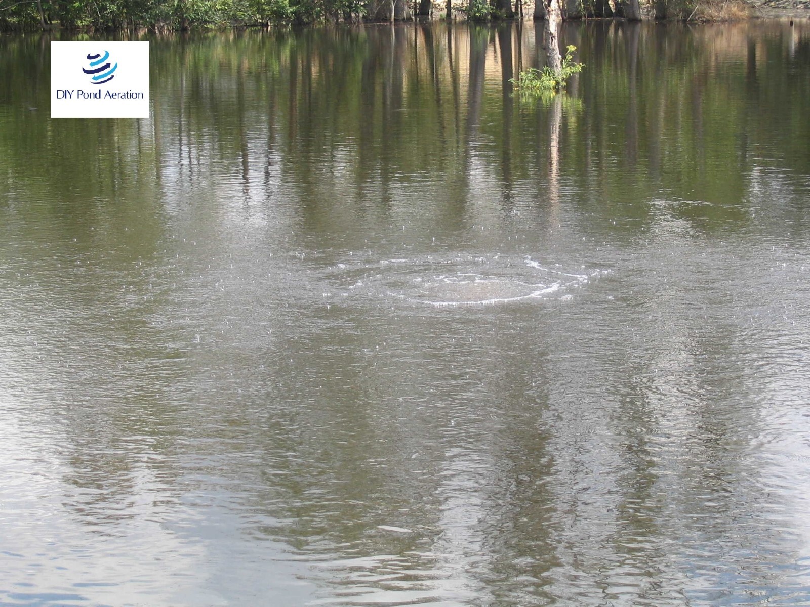 Pond Aerator Diffuser 16" Diameter Ring Aeration Fine bubble 3/8" inlet gallery