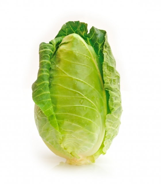 300 CHARLESTON WAKEFIELD CABBAGE Heirloom Cone Brassica Oleracea Vegetable Seeds gallery