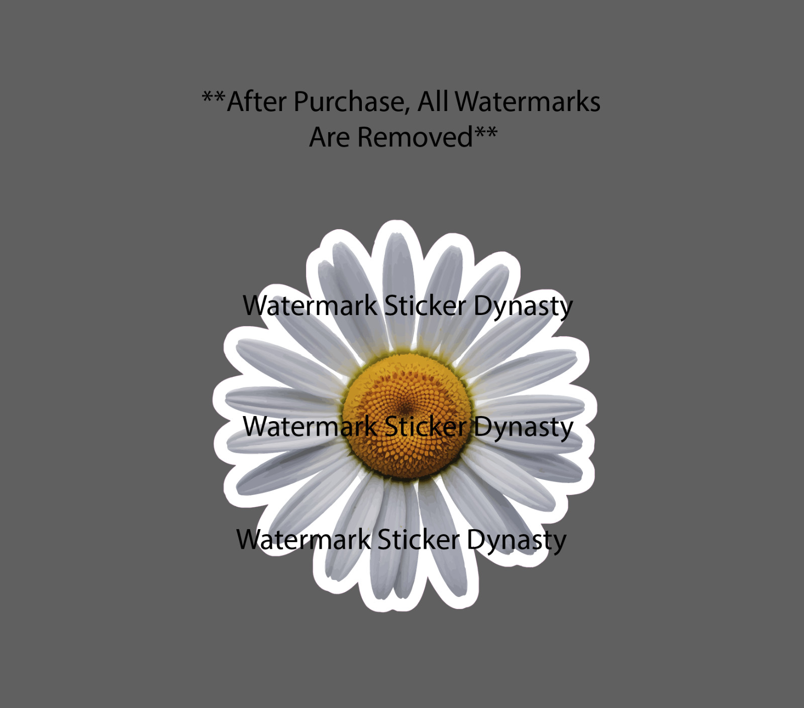 Daisy Sticker Waterproof Decal Flower Floral Garden Nature Gift NEW gallery