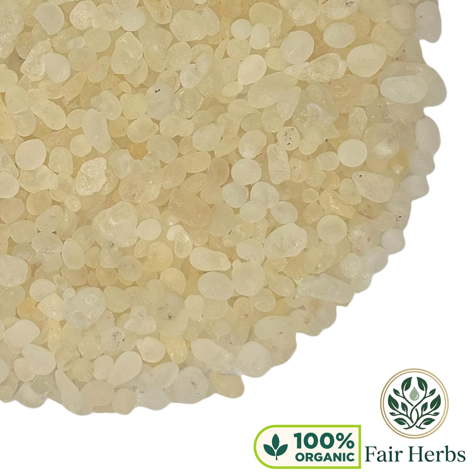Chios Mastic Gum Resin | 100% Authentic Greek Mastiha | Rumi Mastagi gallery