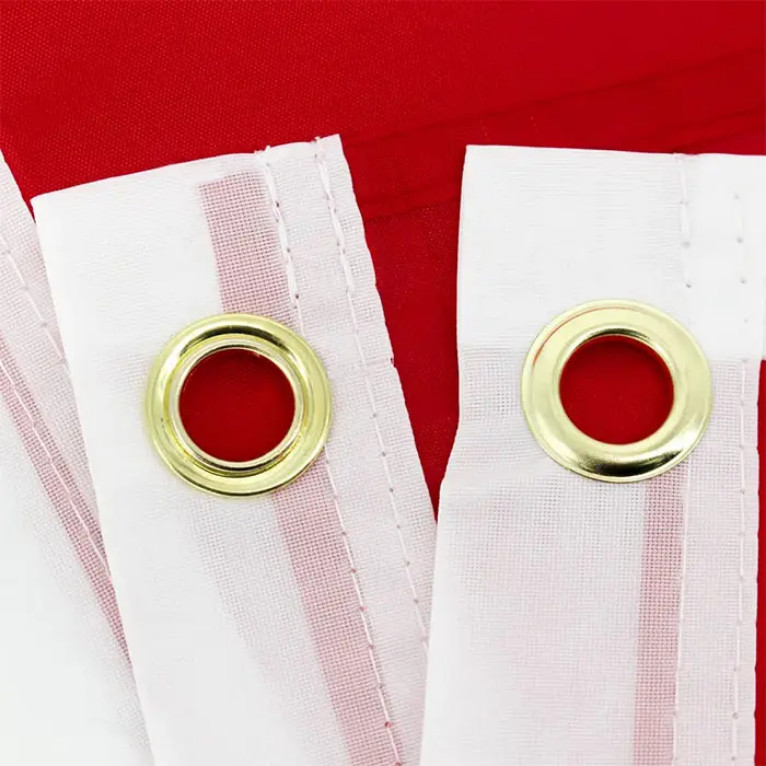 3x5 Switzerland Flag Swiss Polyester Flag 3' x 5' European 100D gallery
