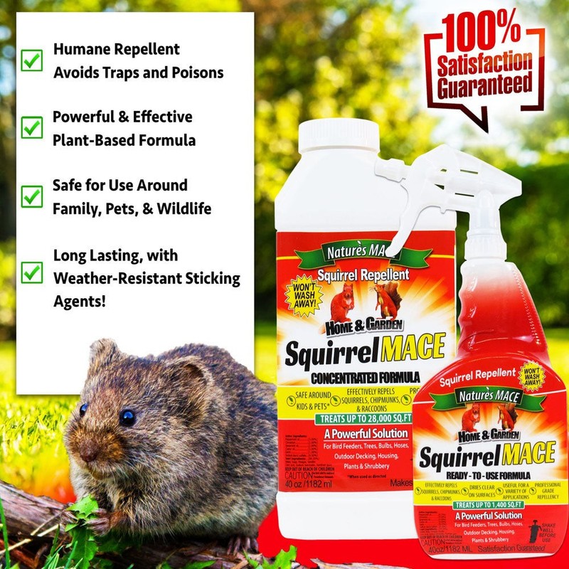 Squirrel MACE Anti-Chew Squirrel Deterrent Spray gallery
