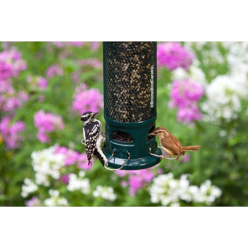 Squirrel Buster Legacy Squirrel-proof Bird Feeder w/4 Metal Perches, 2.6-pound S gallery