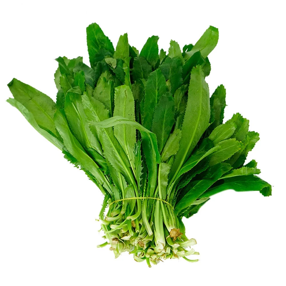 700+ Fresh Cilantro | Coriander | Culantro | Ngò Gai Seeds NON-GMO, USA Seller gallery
