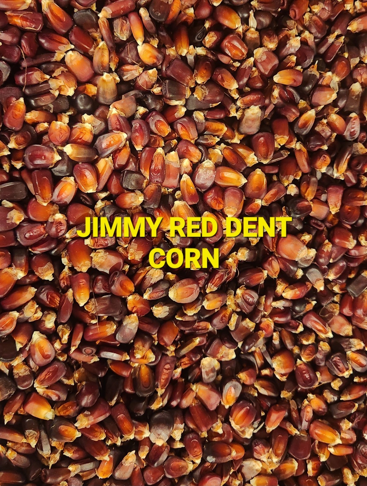Jimmy Red Corn - Heirloom Dent Corn For Seed or Milling - 1/2 Pound gallery
