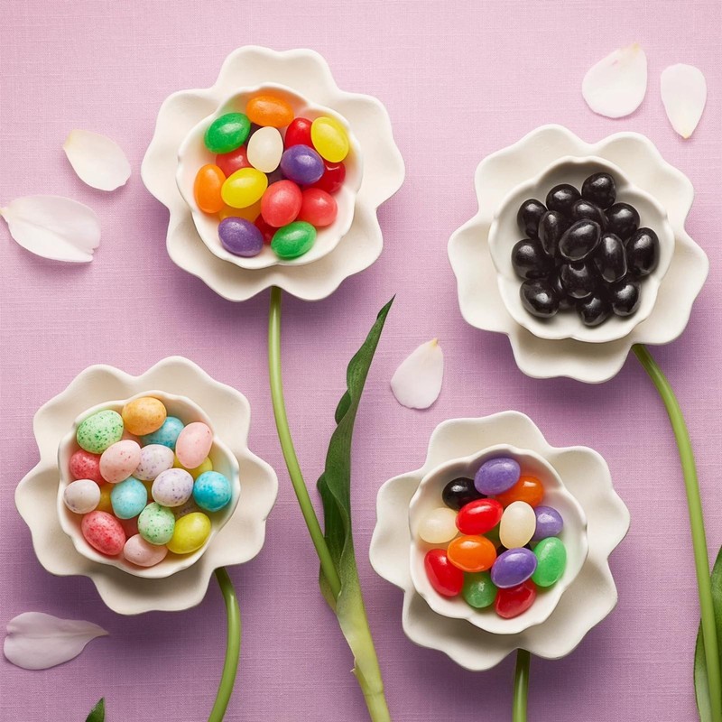 Brach's Spiced Jelly Beans Easter Candy Chewy Fruit Flavored 14.5oz Bag gallery