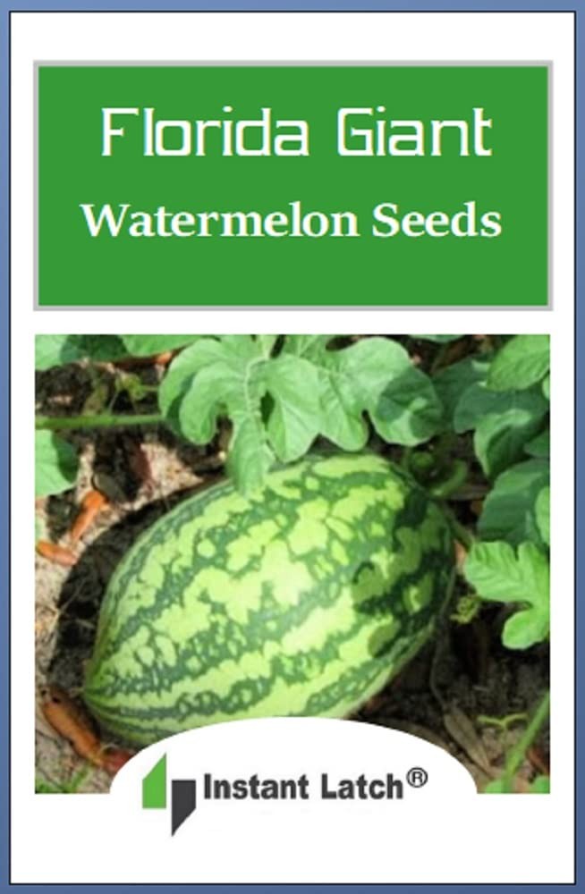 Florida Giant Watermelon Seeds - Non-GMO Heirloom, Up to 25 lbs, 90 Days gallery