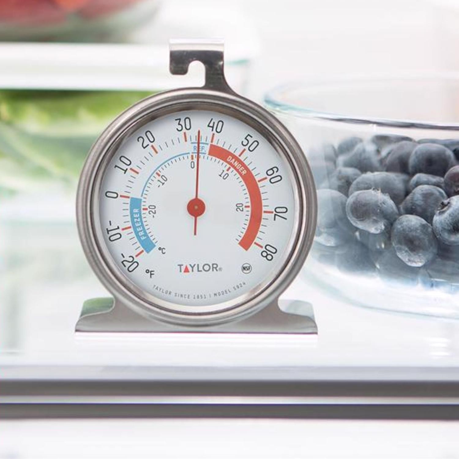 Taylor Instant Read Analog Freezer/Refrigerator Thermometer gallery