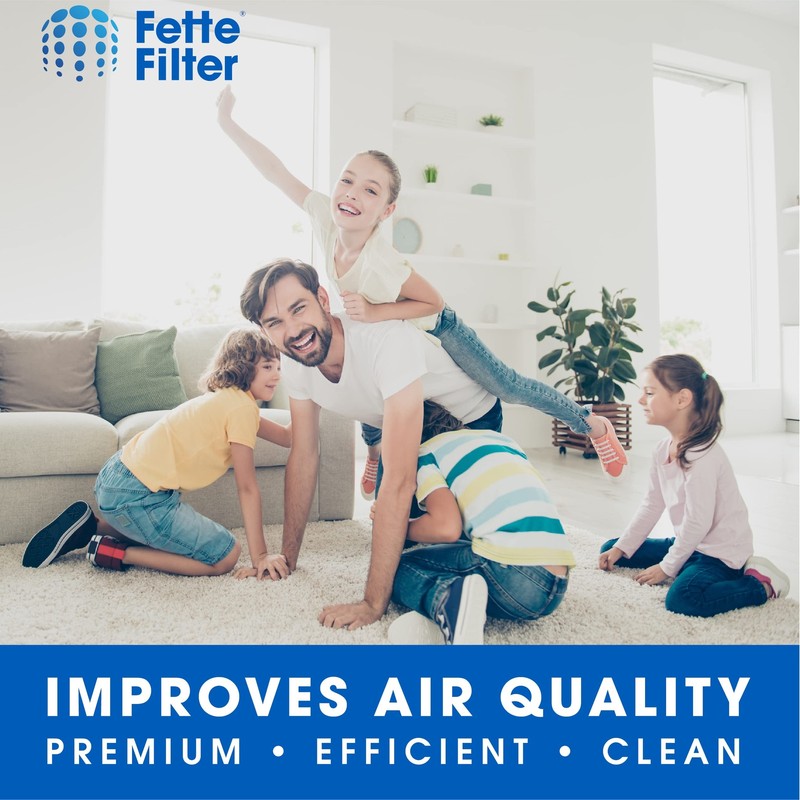 Air Purifier Replacement Filter Compatible with Winix Filter O for A230 and A231 gallery