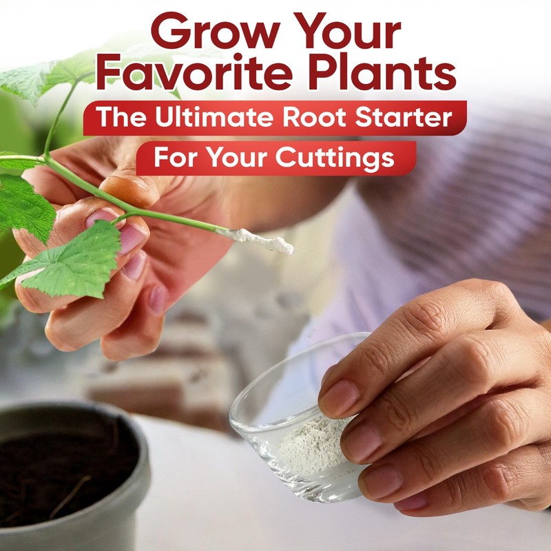 Hormex Rooting Powder #16 - for Difficult to Root Woody Plants - 1.6% IBA gallery
