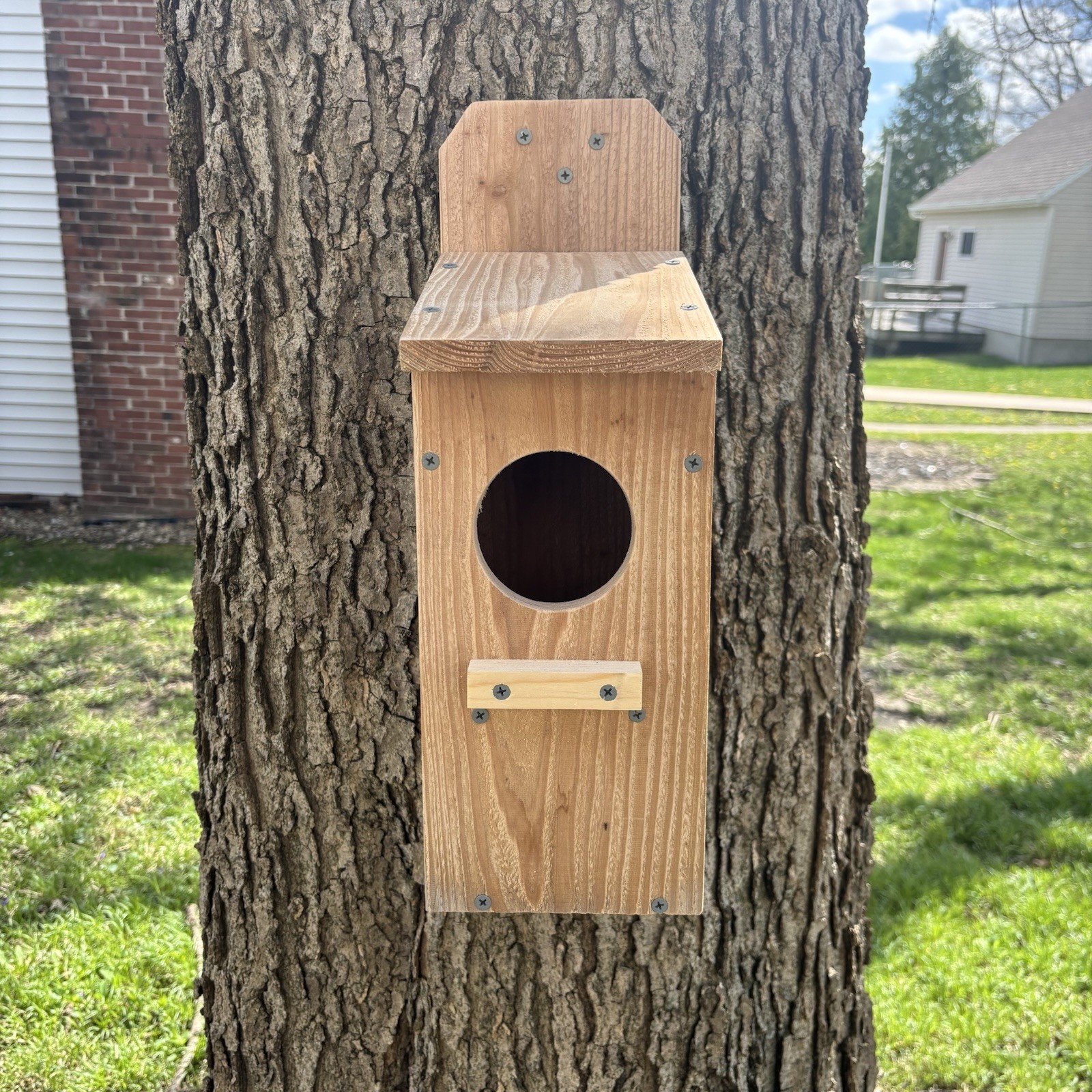 Large Cedar Owl Nesting Box House Screech Saw Whet Owl For Tree Fully Installed gallery