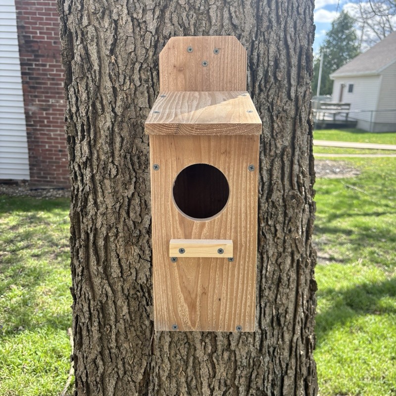 Large Cedar Owl Nesting Box House Screech Saw Whet Owl For Tree Fully Installed gallery